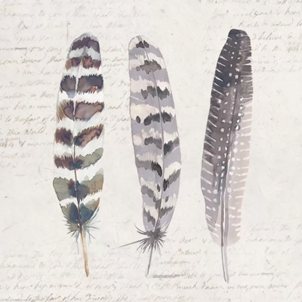 Creative Tops Набор из 6 подставок под горячее Feathers 10.5х10.5  