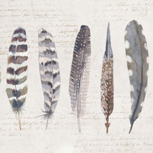 Creative Tops Набор из 6 подставок под горячее Feathers 30x23  