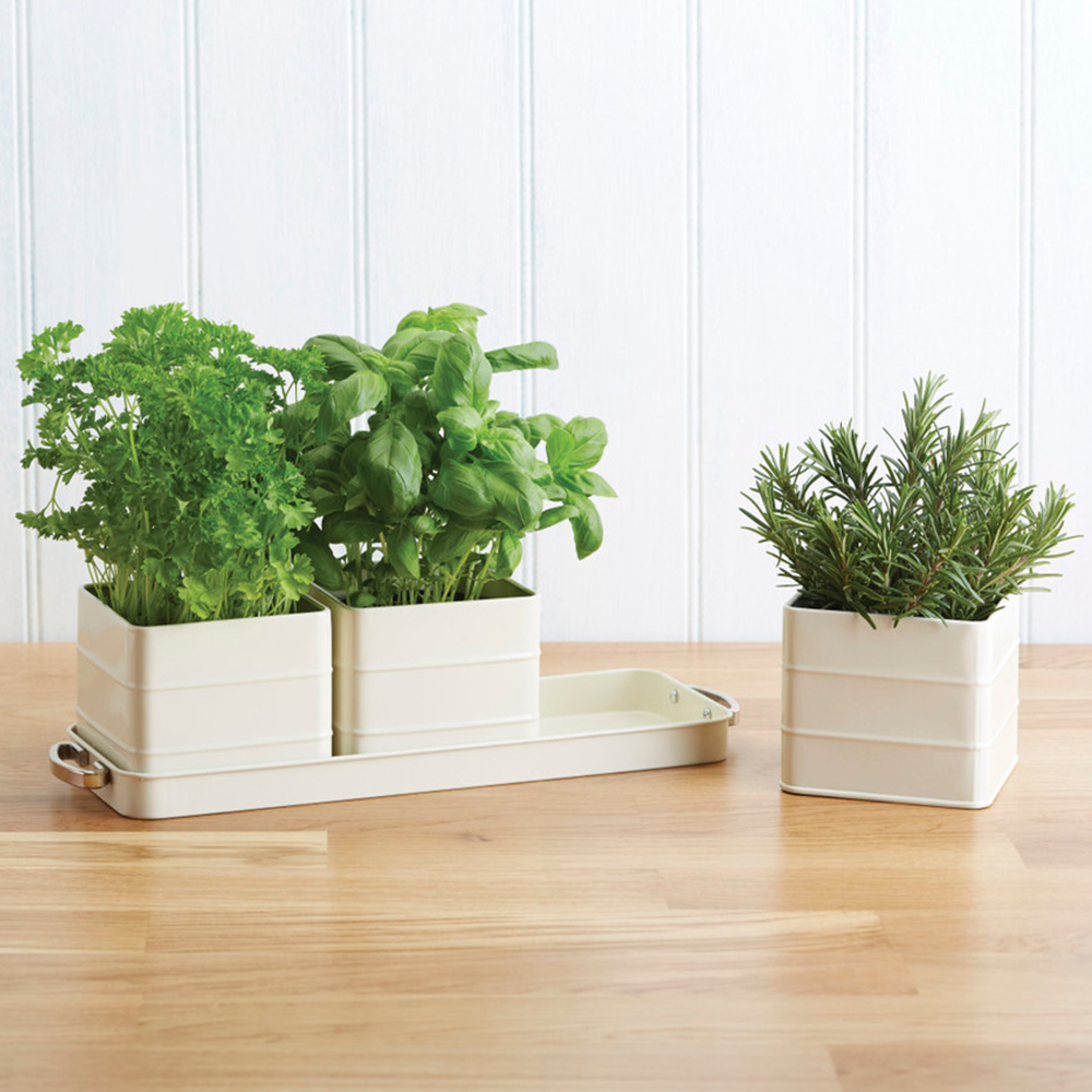 Набор горшков для растений  LIVING NOSTALGIA (3 горшка, поддон)  