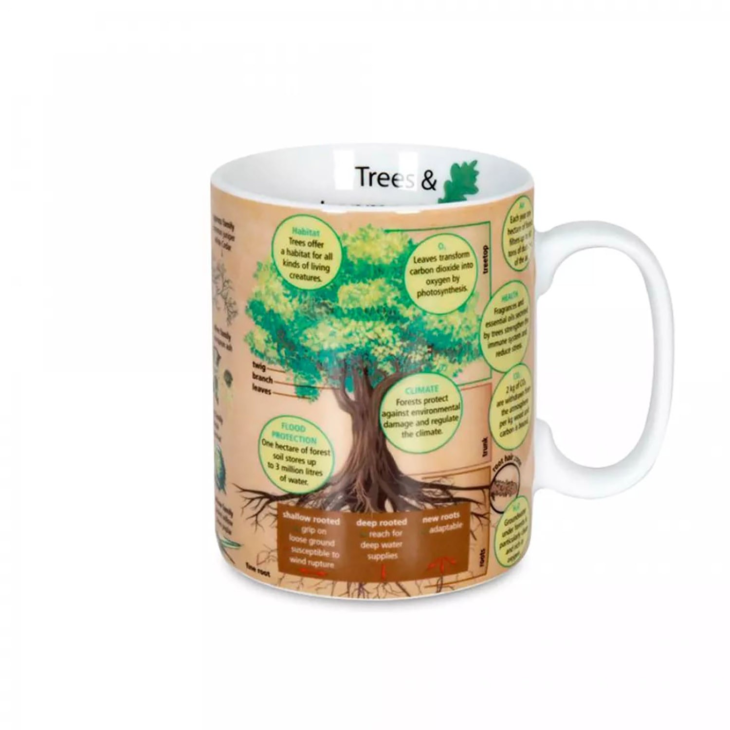 koenitz кружка "серия знаний-деревья"