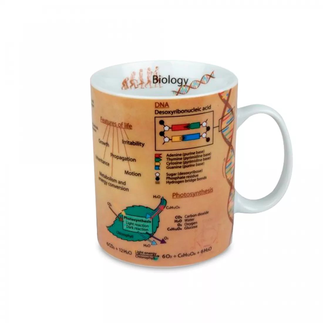 koenitz кружка "серия знаний-биология"