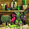 Kitchen Craft Шейкер "Тропический шик" BarCraft Арт.: BCCSSTUDGLD