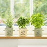 T&G Емкость для хранения малая Pride Of Place Green Арт.: 18018